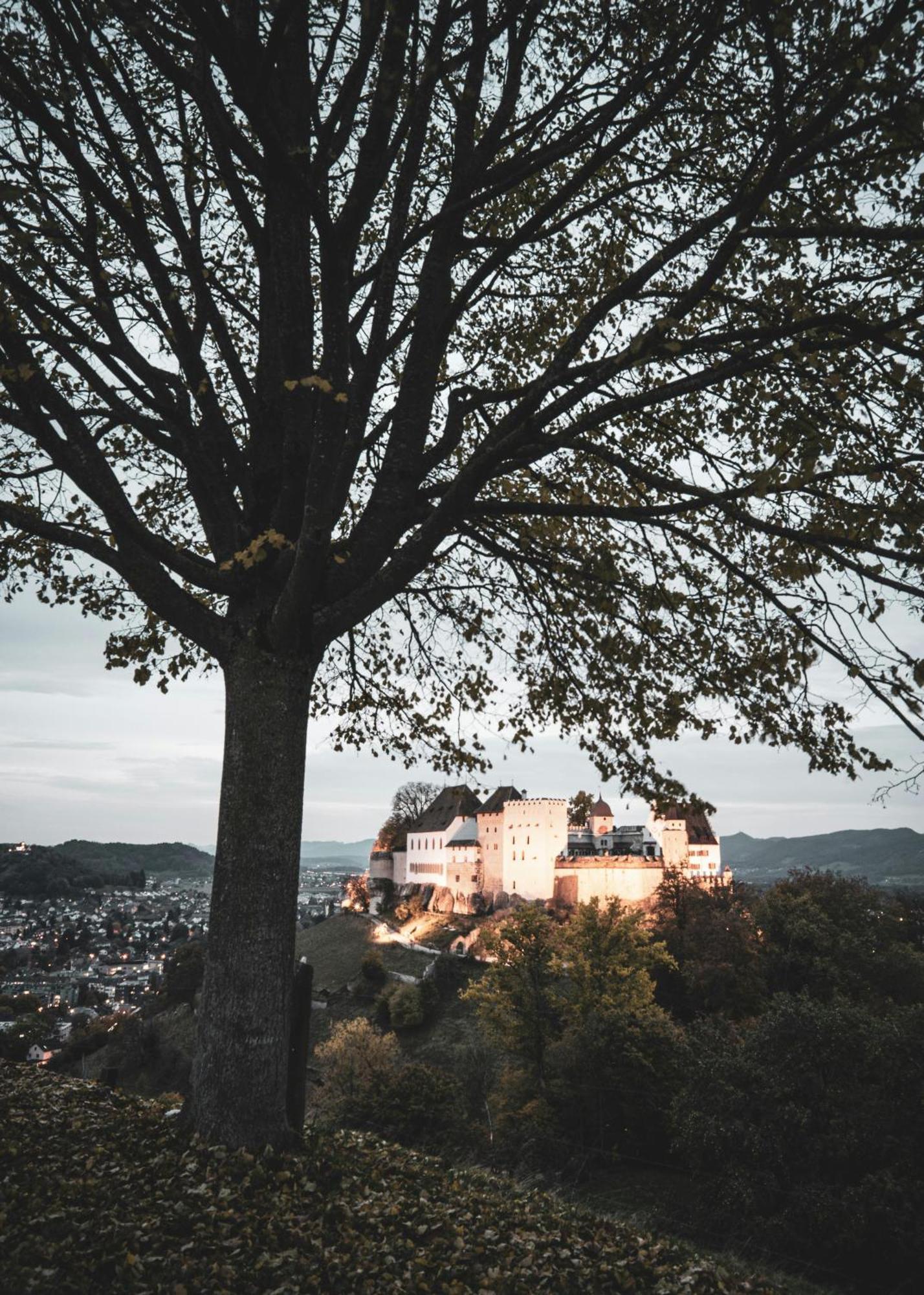 Villa Musica - Studio, Ruhig, Diskret,Mit Grossem Privatem Sitzplatz Lenzburg Bagian luar foto